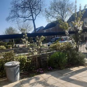 a garden with white flowers and a trash can at Studio vlak bij het strand in Petten