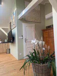 Kuchyňa alebo kuchynka v ubytovaní Kalina Apartments + 37 fotografií