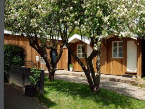 Zahrada ubytování Guldborg Camping & Cottages - Famillyspace