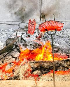 ein Feuer mit Fleisch drauf in der Unterkunft Vila Hořičky in Hořičky