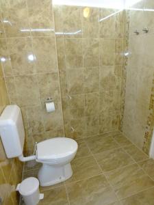 シャーロシュパタクにあるKamilla Vendégházのバスルーム(トイレ、シャワー付)