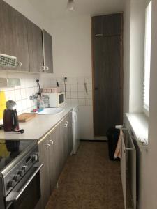 Kuchyňa alebo kuchynka v ubytovaní Apartmán Na Horách