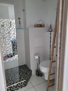 een kleine badkamer met een toilet en een douche bij F2 Saint-Aygulf vue mer, calme, proche Frejus in Saint-Aygulf