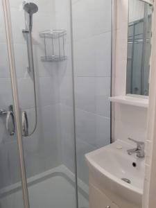 prysznic ze szklanymi drzwiami obok umywalki w obiekcie Żwirki centrum w mieście Skierniewice