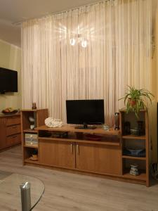 TV a/nebo společenská místnost v ubytování Apartman Sana + 20 fotografií