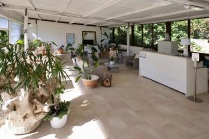Missipezza Residence a Frassanito في أليميني: غرفة مع نباتات الفخار في منتصفها