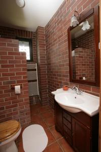 a bathroom with a sink and a brick wall at Casa Konigstein in Fundata