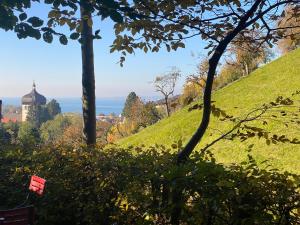 布雷根茨的住宿－Haus am Felsen, Ferien in Vorarlberger Architektur，远处有一座草木的山丘,有一座建筑