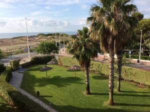 Deux palmiers dans un parc près de l'océan dans l'établissement Apartamento con piscina en una preciosa playa, à Alcossebre