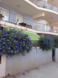 マルツァメミにあるHoliday Home Residence Azzurroのギャラリーの写真