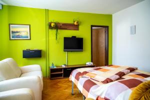 TV a/nebo společenská místnost v ubytování Apartments Krašna