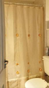 y baño con cortina de ducha y aseo. en Mi Lugar en Buenos Aires II en Buenos Aires
