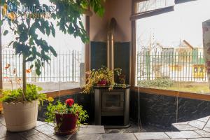 Habitación con chimenea con plantas y ventana en Tu casa en el Fin del Mundo en Ushuaia