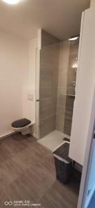 uma casa de banho com um WC e uma cabina de duche ao nível do chão em Charmant appartement em Saint-Gervais-les-Bains