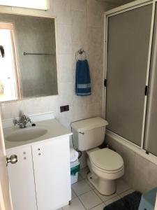 een badkamer met een toilet, een wastafel en een spiegel bij Departamento Algarrobo in Algarrobo