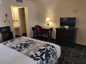 Habitación de hotel con cama, escritorio y TV. en Skyline Motor Inn en Cody