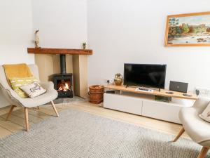 a living room with a television and a fireplace at Daisy Cottage in Leyburn