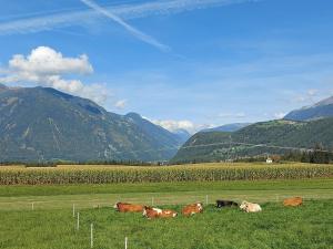 Paesaggio naturale nelle vicinanze dell'agriturismo