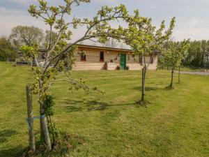 布里斯托Down the Rabbit Hole的前面树木林立的田野房子