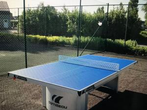 a blue tennis court with a tennis racket on it at Studio Bee Home in De Haan