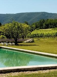 a pool of water in a field with a tree at Le Lavoir in Lacoste