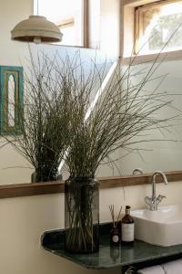 a vase with grass on a counter next to a sink at Kaner Retreat - India's First Desert Botanical Resort in Shaitrāwa