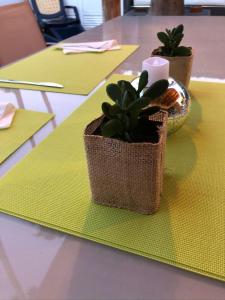 een tafel met twee potplanten op een tafel bij Ca Martina Sonora Golf in Maspalomas +41 foto's