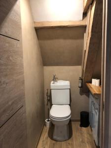 a bathroom with a toilet in a small room at L Atypik à L ancienne forge in Muhlbach-sur-Munster