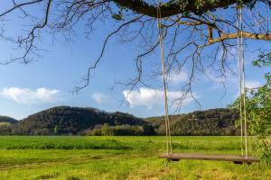 a swing hanging from a tree in a field at DordogneView in Calès