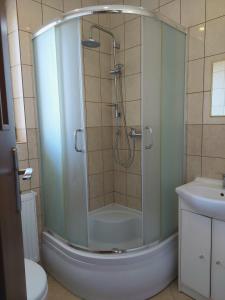 een badkamer met een douche, een toilet en een wastafel bij Belona in Stegna