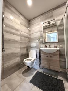 a bathroom with a toilet and a sink and a mirror at Centre Apartment in Druskininkai