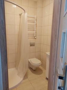 een badkamer met een toilet en een douche met een douchegordijn bij Belona in Stegna