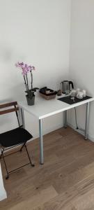 einem weißen Tisch mit einer Pflanze und einem Stuhl in der Unterkunft Chambre indépendante avec terrasse in Romille