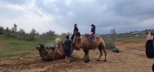 a group of people riding on camels on a dirt road at Kyzylkum Nights Camp & Family Yurt in Nurota