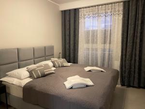 Zdjęcie z galerii obiektu Apartament Elisabeth GREEN II w mieście Pogórze