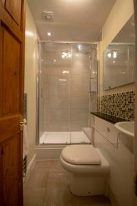 uma casa de banho com um chuveiro, um WC e um lavatório. em Riverside Cottage em Llangollen