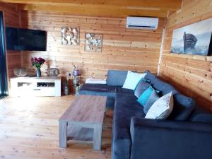 ein Wohnzimmer mit einem blauen Sofa und einer Holzwand in der Unterkunft House ThoNi in Gornji Štoj