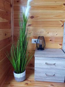 a room with a dresser and two plants in a room at House ThoNi in Gornji Štoj