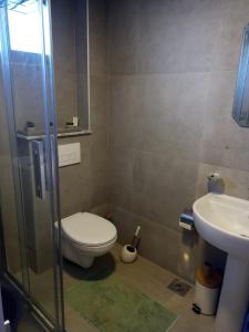 a bathroom with a toilet and a sink at House ThoNi in Gornji Štoj