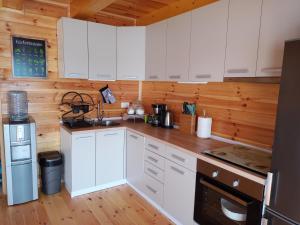 a kitchen with white cabinets and a wooden wall at House ThoNi in Gornji Štoj