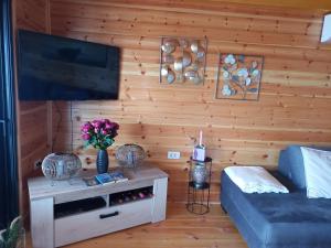 a living room with a couch and a television at House ThoNi in Gornji Štoj