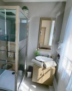 a bathroom with a sink and a glass shower at Le Jardin du saumon in Angé +16 photos