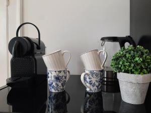 two blue and white vases sitting on a table with a plant at La chambre de maître du boulevard Thiers, entrée et terrasse privatives in Remiremont