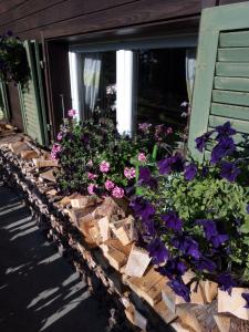 una caja de la ventana con flores al lado de una casa en Bright, sunny holiday apartment on the farm, 