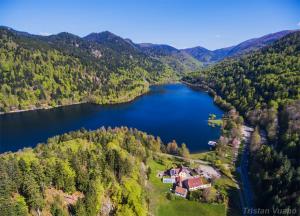 an aerial view of a house on the shore of a lake at Le chalet du bois joli in Kruth