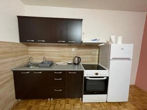 Köök või kööginurk majutusasutuses Apartman Prima Sombor