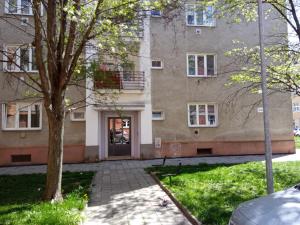 un edificio con un árbol delante de él en DUKLA HERO en Olomouc