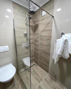 a bathroom with a toilet and a glass shower at Vivko Apartments in Veliko Gradište