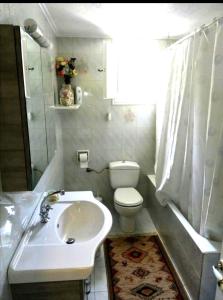 ein Bad mit einem Waschbecken und einem WC in der Unterkunft Villa Olive Garden, Kastanida - Paxoi in Gaios