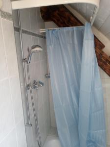 La salle de bains est pourvue d'une douche avec un rideau de douche bleu. dans l'établissement Bright, sunny holiday apartment on the farm, 